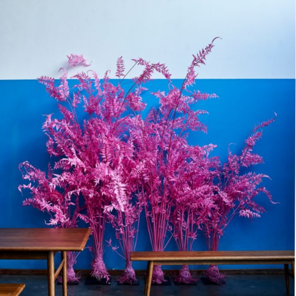 2018SS BK KNSM-laan564